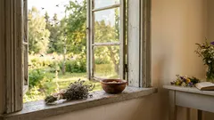 Os mosquitos e os mosquitos já não o picam nem voam para dentro de sua casa. Um truque simples que toda a gente devia conhecer